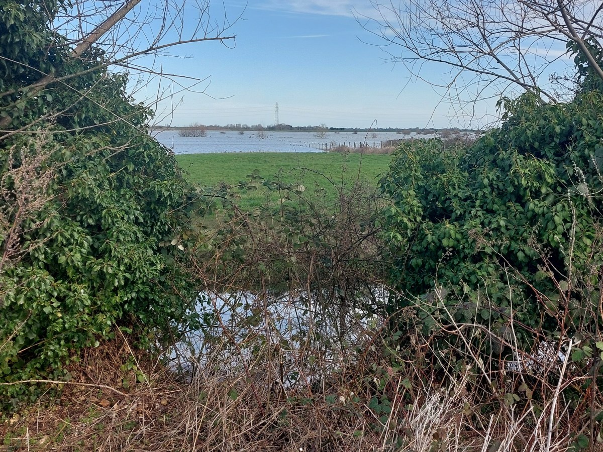 Everything happens for a&nbsp;reason